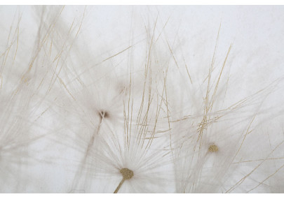 Impression murale peinture encadrée – 80x120 cm – Design Glam contemporain