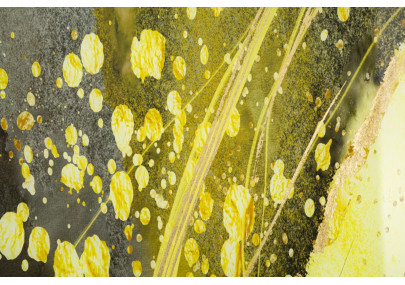 Panneau mural en verre Sunny – 80x120 cm – Reflets lumineux et style Glam