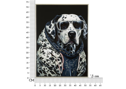 Tableau mural laqué avec sécurité à cadre – Élégance et protection (53 x 3 x 73 cm)