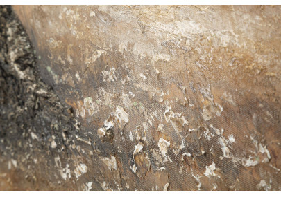Peinture à l’huile d’olive C – Luxe et authenticité artistique (120 x 3,8 x 80 cm)