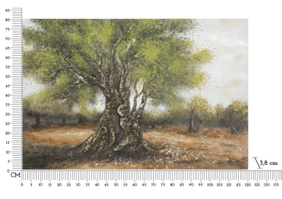 Peinture à l’huile d’olive C – Luxe et authenticité artistique (120 x 3,8 x 80 cm)