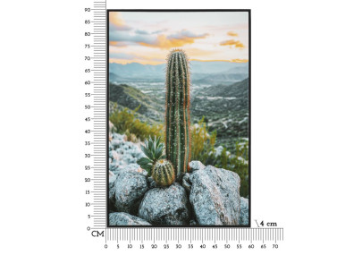 Impression sur toile laquée Cactus H – Grandeur et modernité murale (60 x 4 x 90 cm)