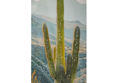 Impression sur toile laquée Cactus L – Fraîcheur artistique sur mur (60 x 4 x 90 cm)
