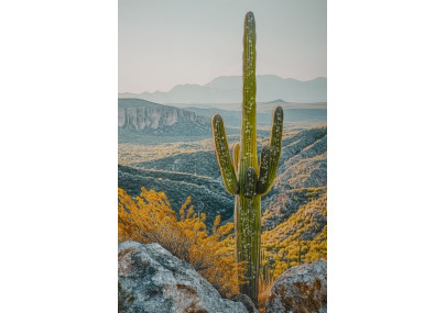 Impression sur toile laquée Cactus L – Fraîcheur artistique sur mur (60 x 4 x 90 cm)