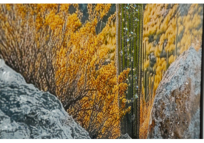 Impression sur toile laquée Cactus L – Fraîcheur artistique sur mur (60 x 4 x 90 cm)