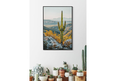 Impression sur toile laquée Cactus L – Fraîcheur artistique sur mur (60 x 4 x 90 cm)