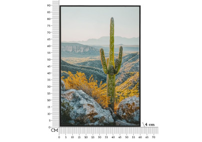 Impression sur toile laquée Cactus L – Fraîcheur artistique sur mur (60 x 4 x 90 cm)