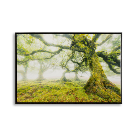 Impression sur toile laquée Forêt – Nature et profondeur sur vos murs (90 x 4 x 60 cm)