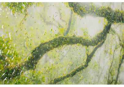 Impression sur toile laquée Forêt – Nature et profondeur sur vos murs (90 x 4 x 60 cm)