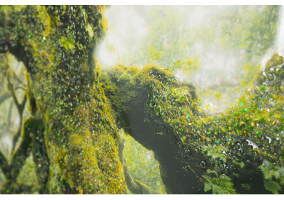 Impression sur toile laquée Forêt – Nature et profondeur sur vos murs (90 x 4 x 60 cm)