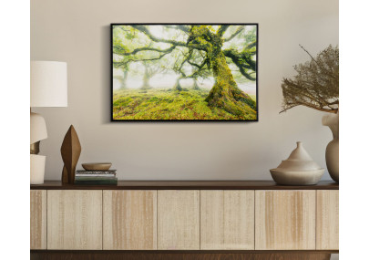 Impression sur toile laquée Forêt – Nature et profondeur sur vos murs (90 x 4 x 60 cm)