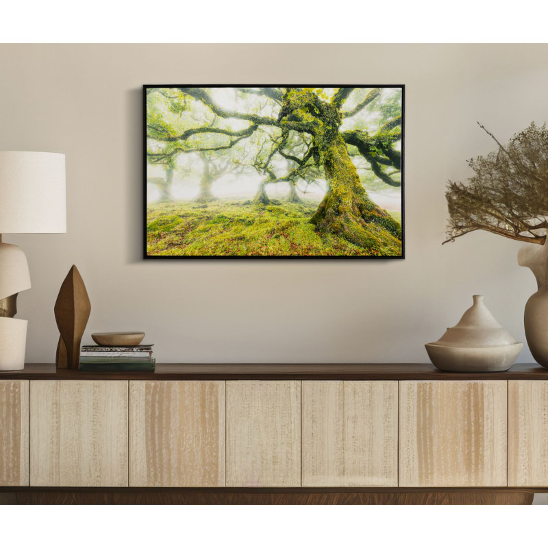 Impression sur toile laquée Forêt – Nature et profondeur sur vos murs (90 x 4 x 60 cm)