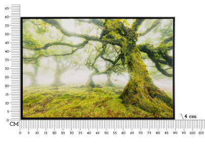 Impression sur toile laquée Forêt – Nature et profondeur sur vos murs (90 x 4 x 60 cm)