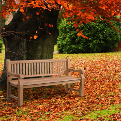 Banc en teck Jackson V2 180 cm