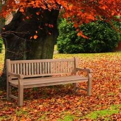 Banc en teck Jackson V2 200 cm