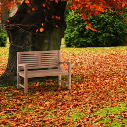 Banc en teck Halden 120 cm avec revêtement en teck