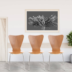 Conjunto de 4 cadeiras de visitante em carvalho Calisto