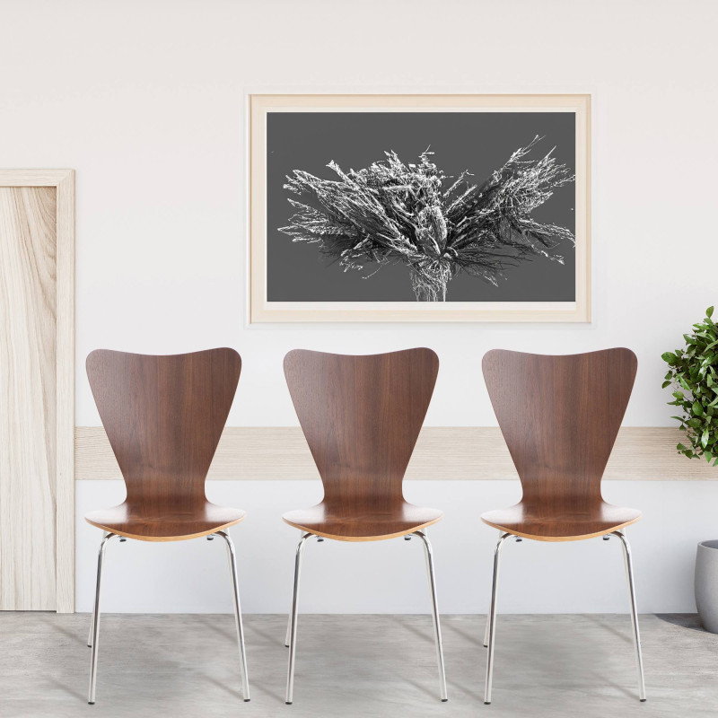 Lote de 2 cadeiras de visitante Calisto nogueira