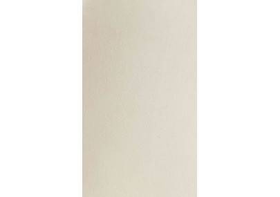 Ensemble de 2 chaises de salle à manger Lewes en velours crème