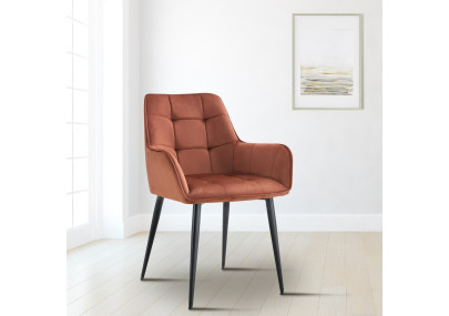 Ensemble de 2 chaises de salle à manger Ferndale en velours marron