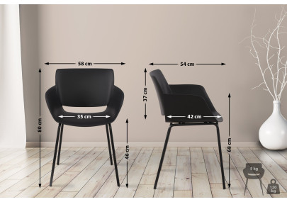 Lot de 2 chaises Alpena, noires