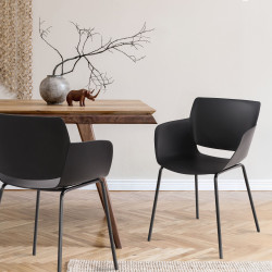 Lot de 2 chaises Alpena, noires