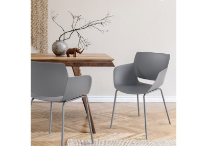 Ensemble de 2 chaises Alpena, gris foncé