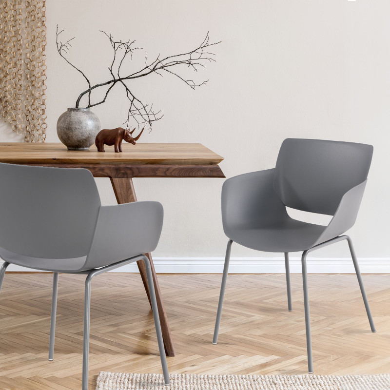 Ensemble de 2 chaises Alpena, gris foncé