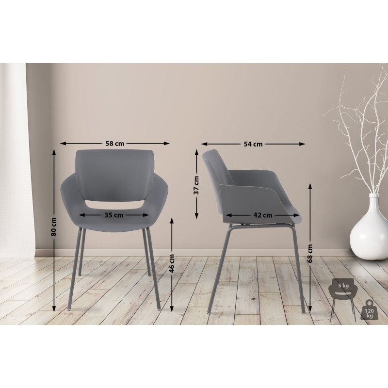 Ensemble de 2 chaises Alpena, gris foncé