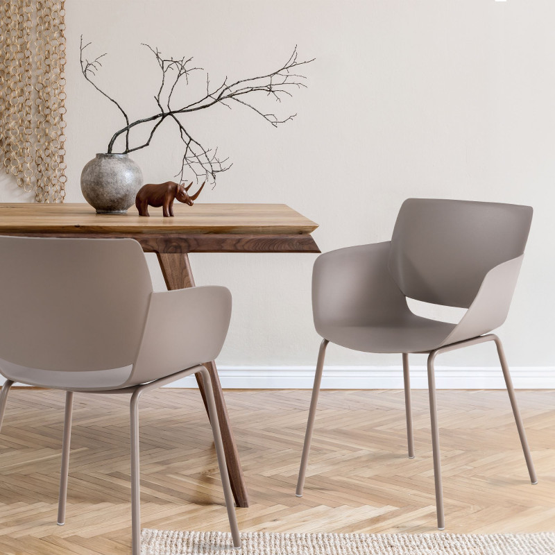 Ensemble de 2 chaises Alpena couleur taupe