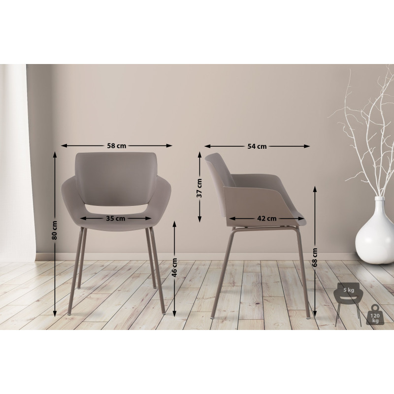 Ensemble de 2 chaises Alpena couleur taupe