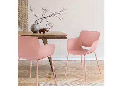 Lot de 2 chaises Alpena, roses