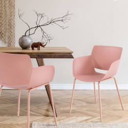 Lot de 2 chaises Alpena, roses