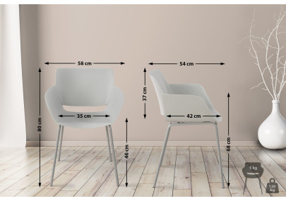 Ensemble de 2 chaises Alpena, gris clair