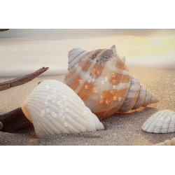 Tableau plage laqué B avec cadre – impression murale moderne – 152 x 4 x 52 cm