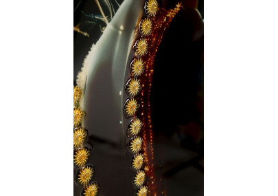 Tableau enluminé laqué avec cadre – impression artistique moderne – 62 x 3,5 x 92 cm