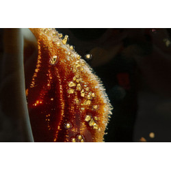 Tableau enluminé laqué avec cadre – impression artistique moderne – 62 x 3,5 x 92 cm