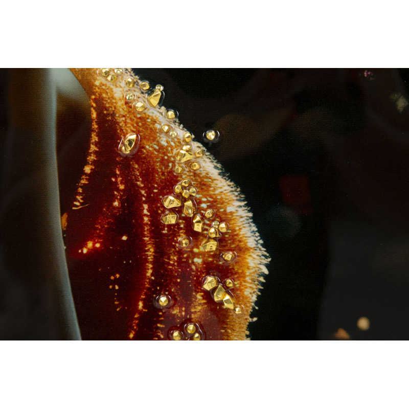 Tableau enluminé laqué avec cadre – impression artistique moderne – 62 x 3,5 x 92 cm