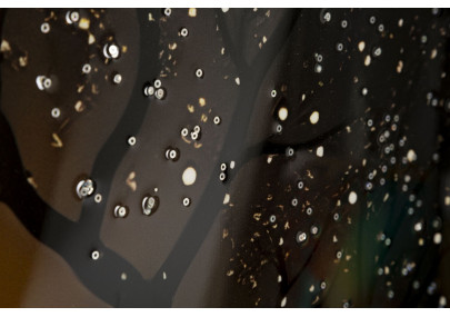 Tableau paon laqué avec cadre – décoration murale élégante – 70 x 4 x 100 cm