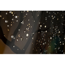 Tableau paon laqué avec cadre – décoration murale élégante – 70 x 4 x 100 cm