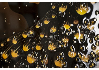 Tableau paon laqué avec cadre – décoration murale élégante – 70 x 4 x 100 cm