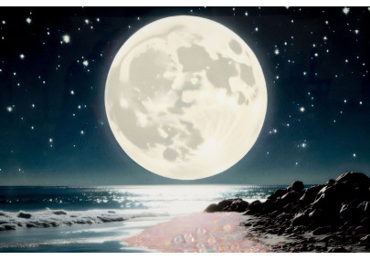 Tableau couleurs laquées A avec cadre – art mural moderne – 60 x 3,5 x 90 cm