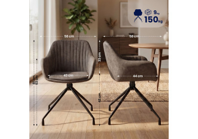 Ensemble de 2 chaises de salle à manger vintage Novanis grises