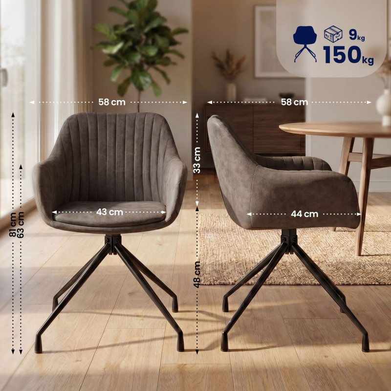 Ensemble de 2 chaises de salle à manger vintage Novanis grises