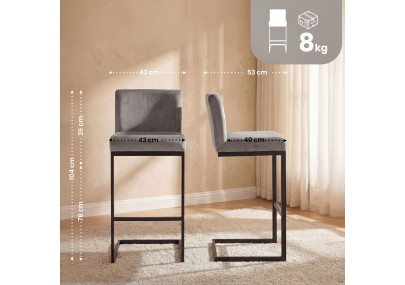 Lot de 2 tabourets de bar Hopewell en velours, gris B