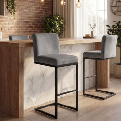 Lot de 2 tabourets de bar Hopewell en velours, gris B