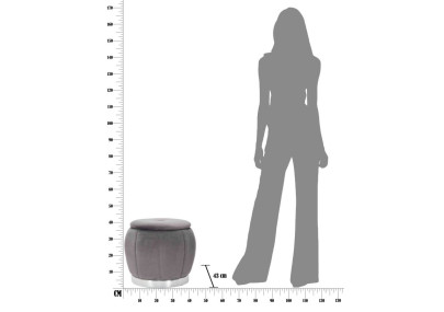 Pouf Coffre Paris Gris & Argent – Reflet d’Élégance Ø43 x 43 cm