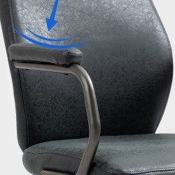 Chaise de bureau Pocatello, noir antique