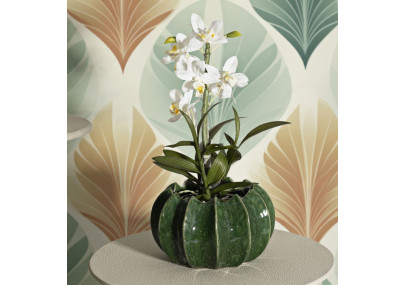 Panier Cactus Compact CM Ø22X13,5