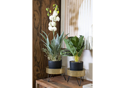 Glam BOSSY Vase Set 2 pcs Ø 20,5X13-18X13 cm - Iron